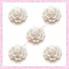 5 cabochons fleurs 18mm blanc