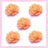 5 cabochons fleurs 18mm orange pêche