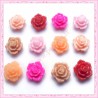 Mix de 12 cabochons fleurs 16mm 