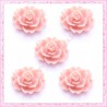 5 cabochons fleurs 18mm vieux rose