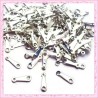250 attaches fermoirs argentées