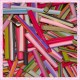 Mixte 50 canes fimo fruits