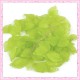 lot de 50 feuilles lucite verte 18mm